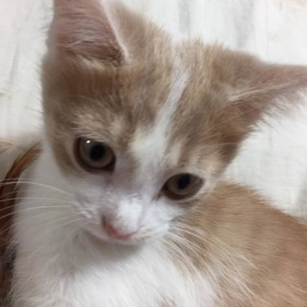 Meet your Posher, Melinda